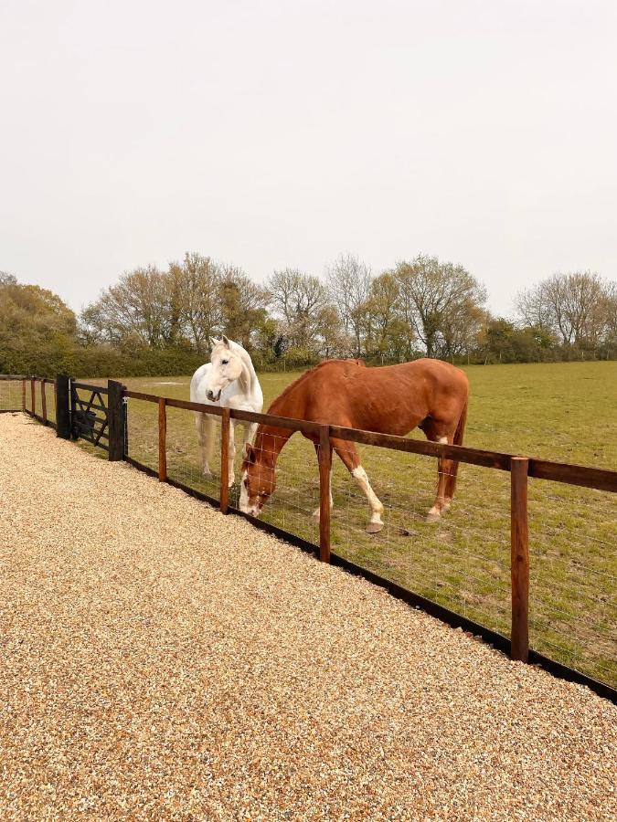 Вілла The Hayloft Gestingthorpe Екстер'єр фото